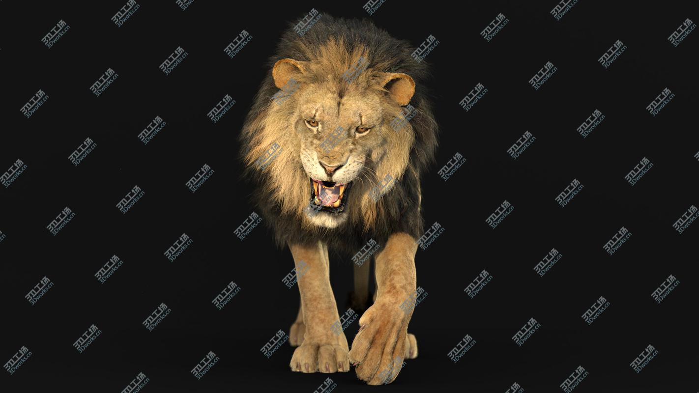 images/goods_img/20210113/3D Lion ANIMATED RedShift/2.jpg